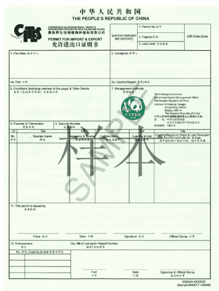 澳门免费原料网