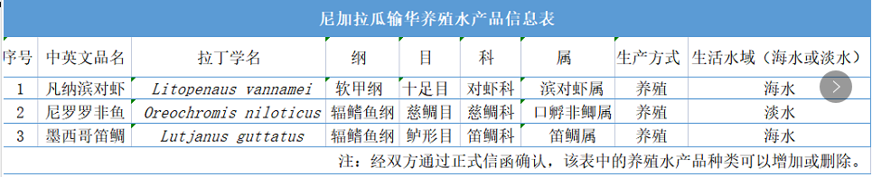 澳门免费原料网